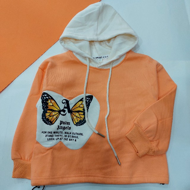 هودی داخل خز