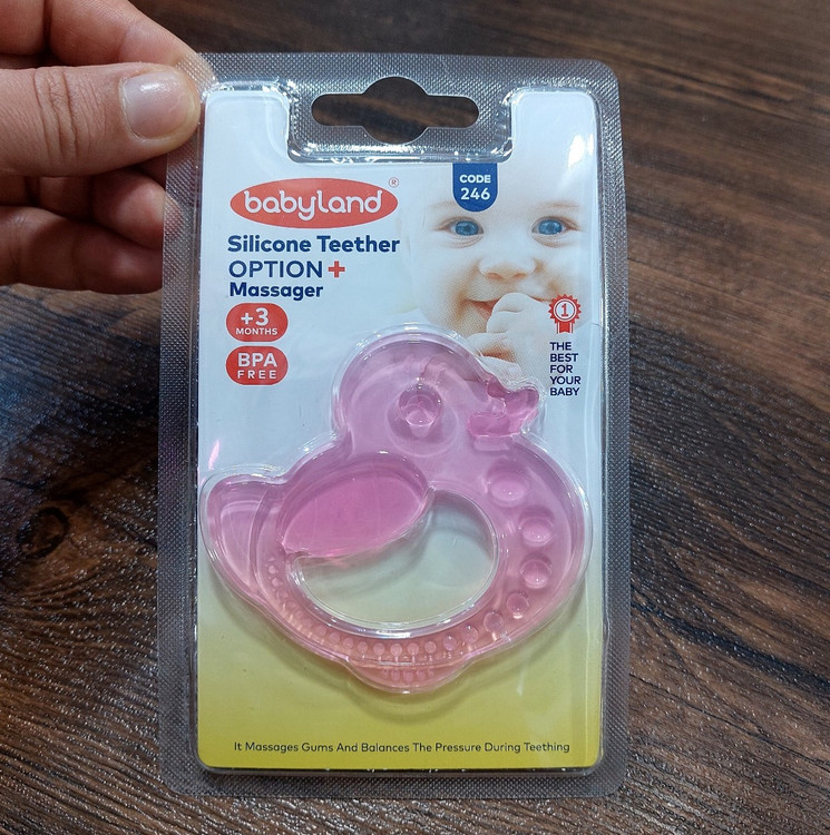 رویش دندان نوراد