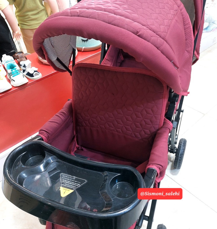 کالسکه دلیجان