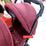 کالسکه ۲قلو دلیجان