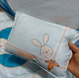 تشک و بالش مخمل